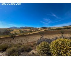 Estupenda finca con casa