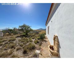Estupenda finca con casa