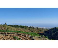 Estudio en Venta en Vilaflor, Santa Cruz de Tenerife