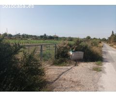 PARCELA A 6 KMS DE ELCHE PARA CONSTRUIR SU SUEÑO!!