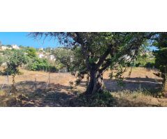 Chalet en Venta en Calpe / Calp, Alicante