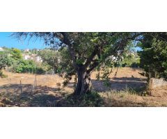 Chalet en Venta en Calpe / Calp, Alicante