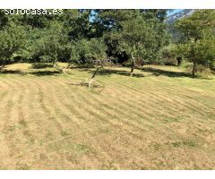 SE VENDE TERRENO URBANO EN ARREDONDO (CANTABRIA)