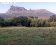 FINCA RUSTICA EN RAMALES DE LA VICTORIA (CANTABRIA)