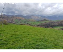 PARCELA DE TERRENO EN SOBA (CANTABRIA)