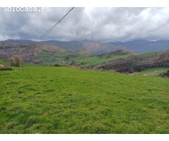 PARCELA DE TERRENO EN SOBA (CANTABRIA)