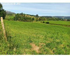 TERRENO RUSTICO JUNTO AL PARQUE NATURAL DE CABARCENO