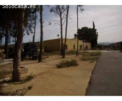 OPORTUNIDAD FINCA EN CARRETERA PINOSO - YECLA A LA VENTA