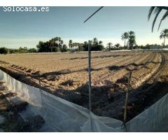 MAGNIFICO TERRENO URBANIZABLE MUY CERCANO A ELCHE