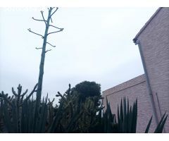 SE VENDE CASA DE CAMPO