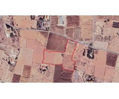 Venta de Terrenos en el Camino de los Pallus