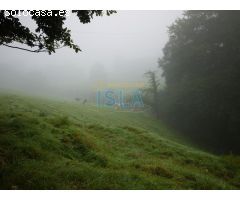 Cabaña para restaurar de 150 m2 y 22.000 m2 de Terreno