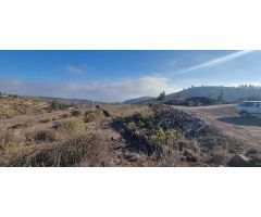 Finca rustica en Venta en Vilaflor de Chasna, Santa Cruz de Tenerife