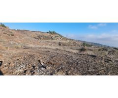 Finca rustica en Venta en Vilaflor de Chasna, Santa Cruz de Tenerife