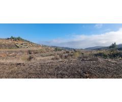 Finca rustica en Venta en Vilaflor de Chasna, Santa Cruz de Tenerife