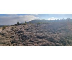 Finca rustica en Venta en Vilaflor de Chasna, Santa Cruz de Tenerife