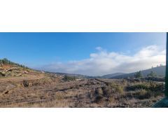 Finca rustica en Venta en Vilaflor de Chasna, Santa Cruz de Tenerife