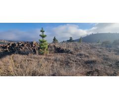 Finca rustica en Venta en Vilaflor de Chasna, Santa Cruz de Tenerife