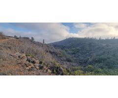 Finca rustica en Venta en Vilaflor de Chasna, Santa Cruz de Tenerife