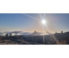 Finca rustica en Venta en Vilaflor de Chasna, Santa Cruz de Tenerife