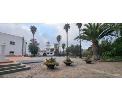 Finca rustica en Venta en Vilaflor de Chasna, Santa Cruz de Tenerife