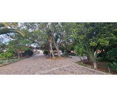 Finca rustica en Venta en Vilaflor de Chasna, Santa Cruz de Tenerife