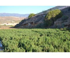 Finca rustica en Venta en Mazaricos, Santa Cruz de Tenerife
