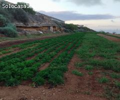 Finca rustica en Venta en Mazaricos, Santa Cruz de Tenerife