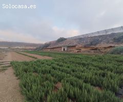 Finca rustica en Venta en Mazaricos, Santa Cruz de Tenerife