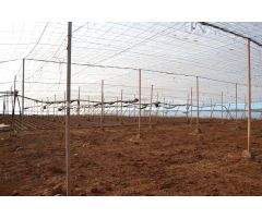 Finca rustica en Venta en Mazaricos, Santa Cruz de Tenerife
