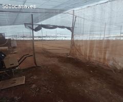 Finca rustica en Venta en Mazaricos, Santa Cruz de Tenerife