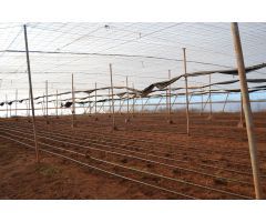 Finca rustica en Venta en Mazaricos, Santa Cruz de Tenerife