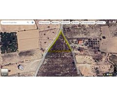 Terreno rural en Venta en La Marina, Alicante