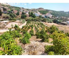 Finca rustica en Venta en Almayate Alto, Málaga