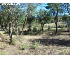 PARCELA 5000M2