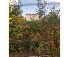 PARCELA URBANA EN VELILLA  290 METROS