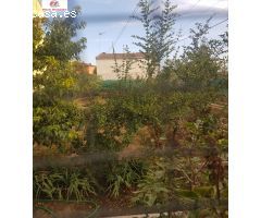 PARCELA URBANA EN VELILLA  290 METROS