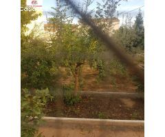 PARCELA URBANA EN VELILLA  290 METROS
