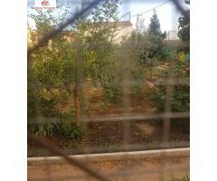 PARCELA URBANA EN VELILLA  290 METROS