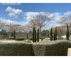 GRAN APARTAMENTO EN PLANTA BAJA FRENTE A LAS PISCINA Y AL CAMPO DE GOLF
