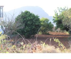 SOLAR URBANO CON FINCA RUSTICA