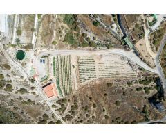 Finca de viñas en Fasnia