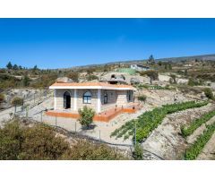 Finca de viñas en Fasnia