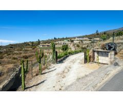 Finca de viñas en Fasnia
