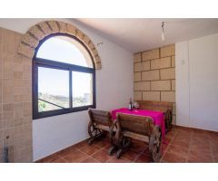 Finca de viñas en Fasnia