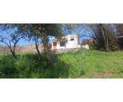 Terreno Rústico en Tacoronte: Viñedos, Frutales y Cuarto de Aperos en un Bonito Entorno Natural.