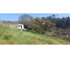 Terreno Rústico en Tacoronte: Viñedos, Frutales y Cuarto de Aperos en un Bonito Entorno Natural.