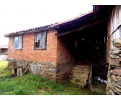 Casa de Pueblo en Venta en Salas, Asturias