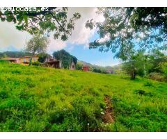 Parcela en Venta en Candamo, Asturias