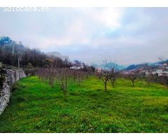 Parcela en Venta en San Esteban de Pravia, Asturias